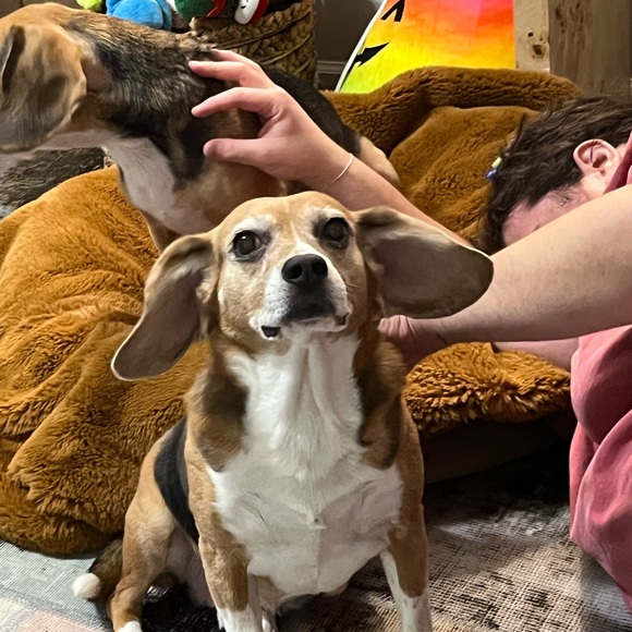 Welcome 🌟💫☀️ - Picture 4 of 4